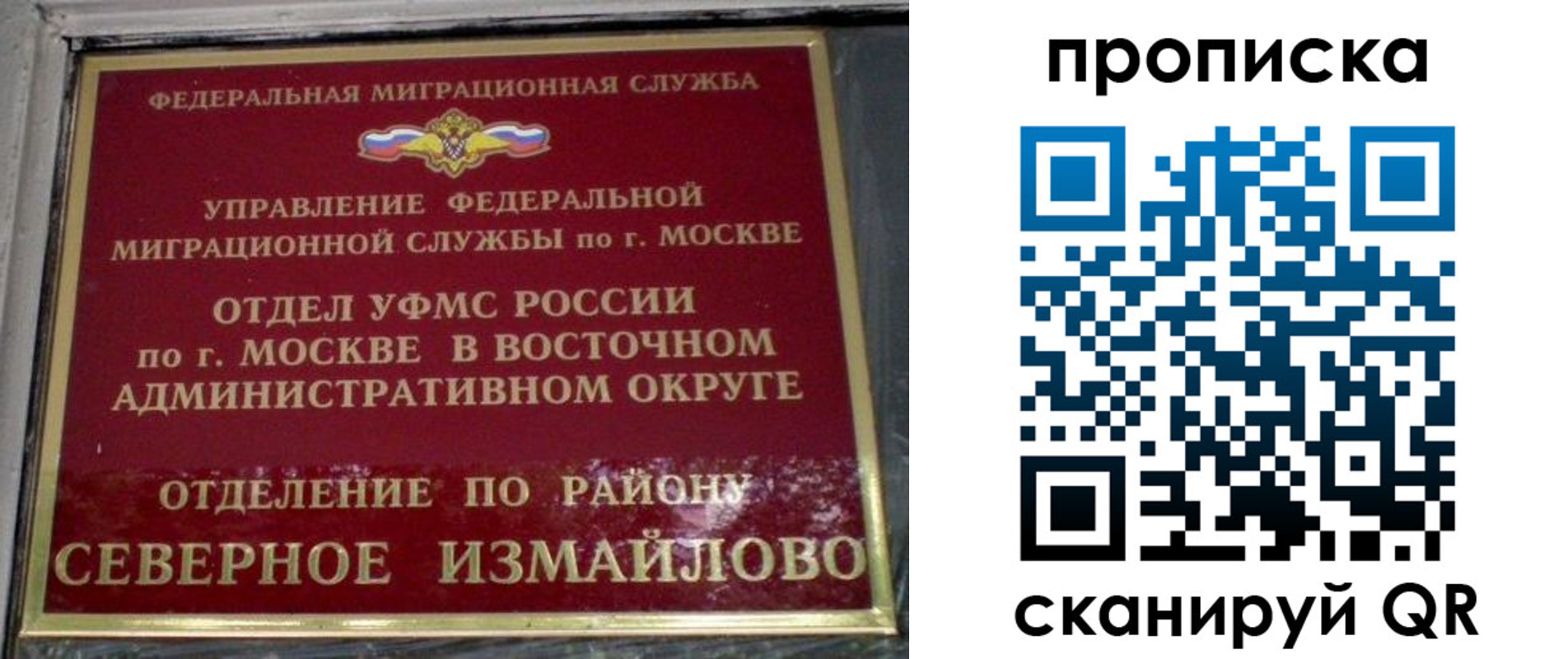 купить прописку в Козельске