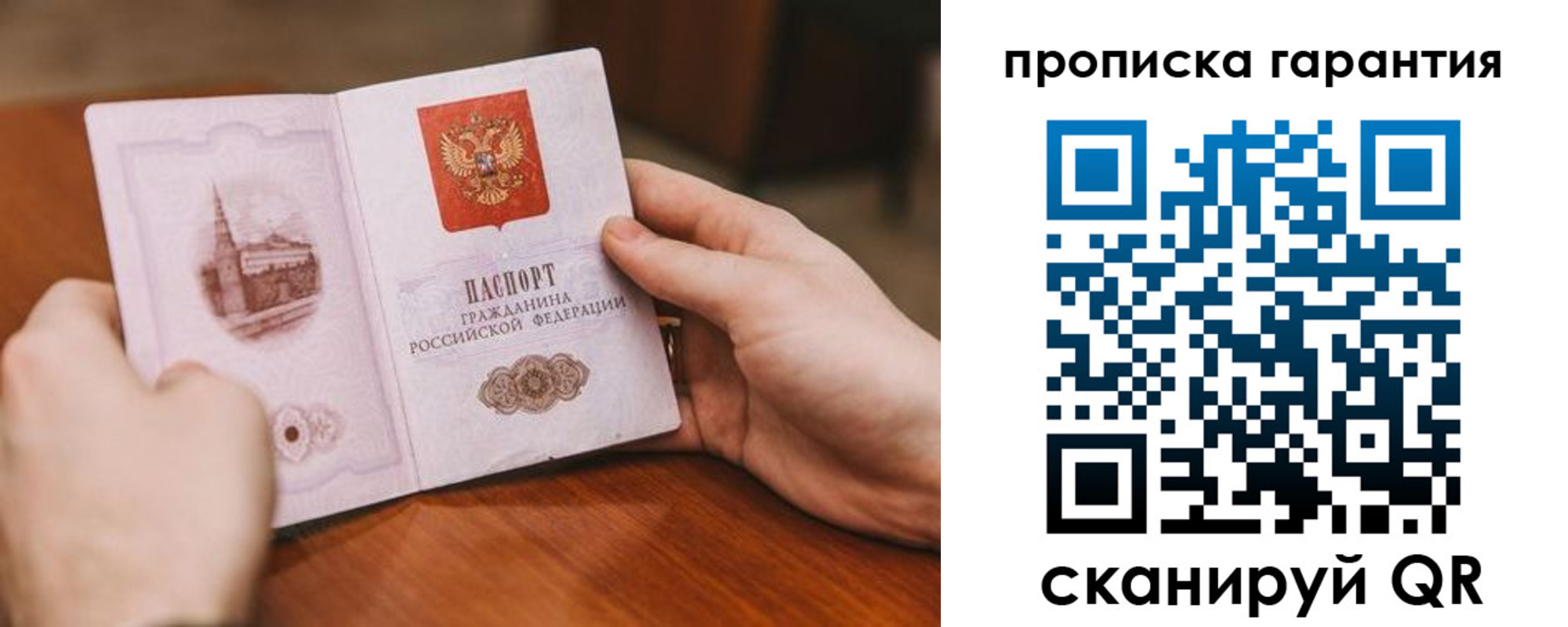 прописка поиск в Козельске